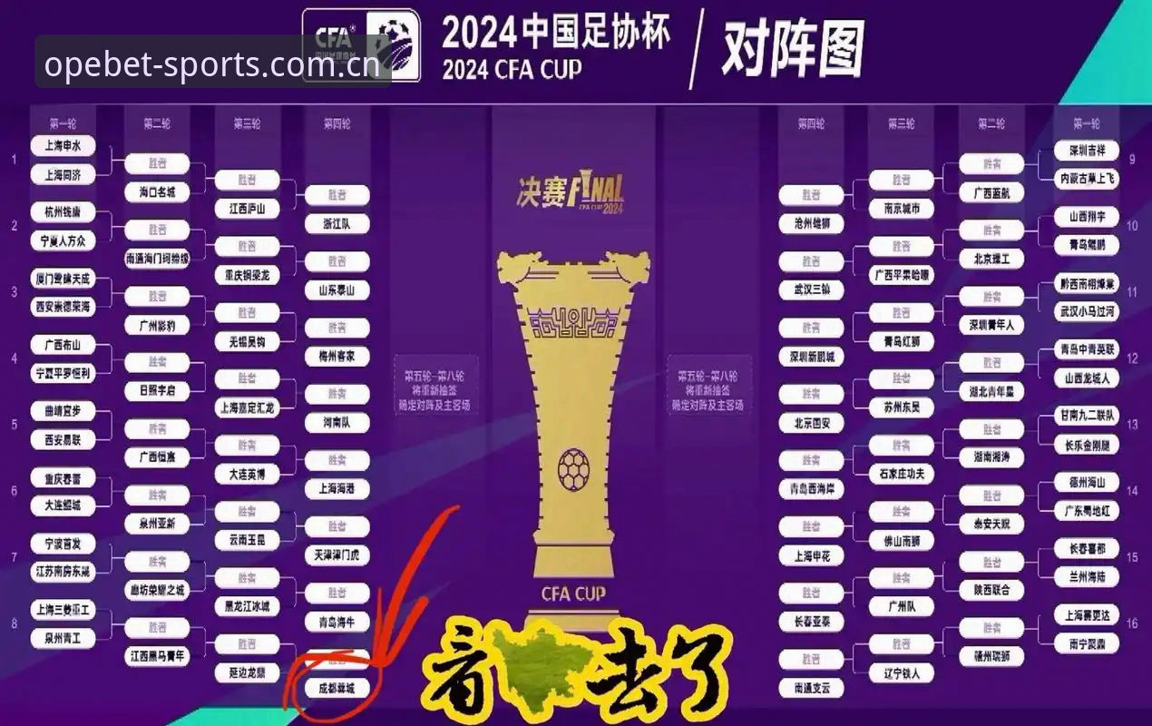 中国足协第三批禁足名单出炉：一场足球生态的深度评测与反思